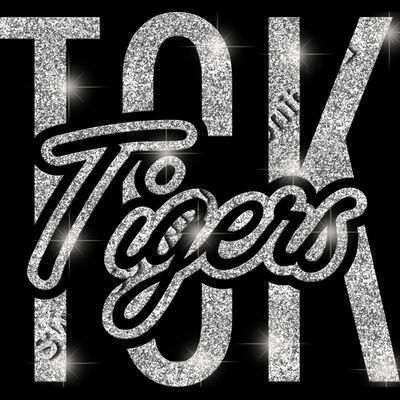 GLT95 SILVER GLITTER Thumbnail