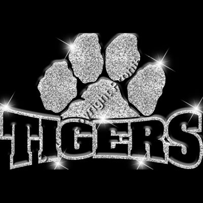 GLT32 SILVER GLITTER Thumbnail