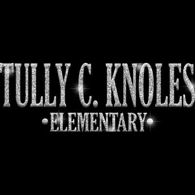 GLT21 SILVER GLITTER Thumbnail